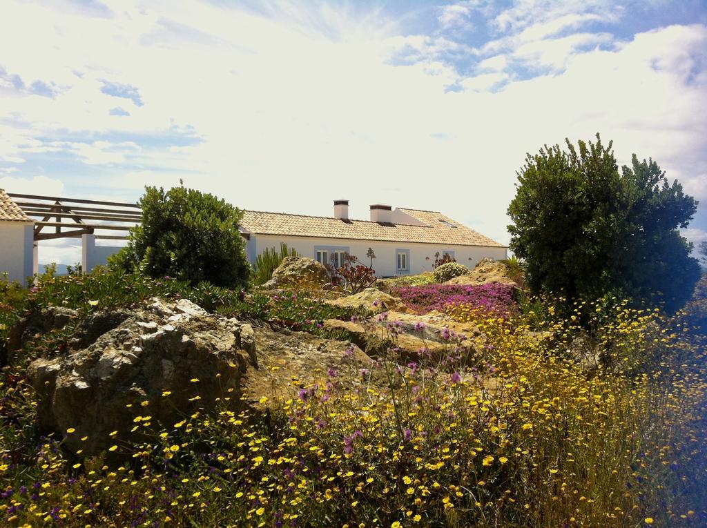 Cerca Do Sul Bed & Breakfast São Teotónio Dış mekan fotoğraf